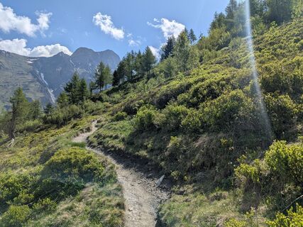 Fotografija s spletne strani mtmc na poti