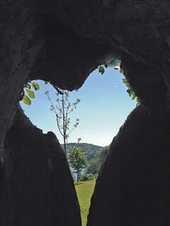 Herzbaum