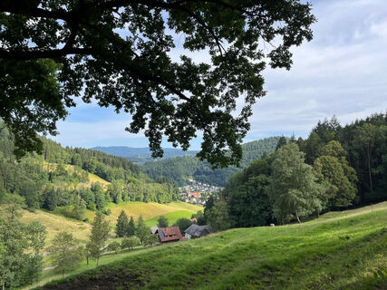 Ultra Gravel 80_Blick auf Buchenbach