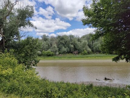 Fotografie z Annamária Bánki na trase