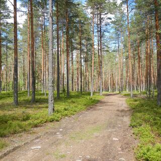 Tolpankankaan Naturlehrpfad