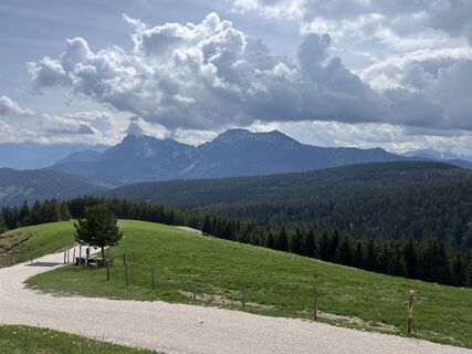 Photo de Heinz Sperl le long du parcours