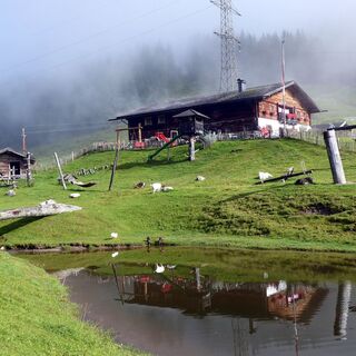 Die Dientalm am Beginn der Wanderung ist ein Erlebnis für die ganze Familie.