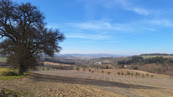 Fotografia z HeleneEcker na trase