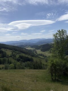 Fotografija s spletne strani Mandy Friedrich na poti