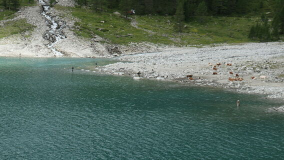Foto da Arthur Muskalla lungo il tour