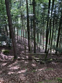 Photo de Johannes Schäufl le long du parcours