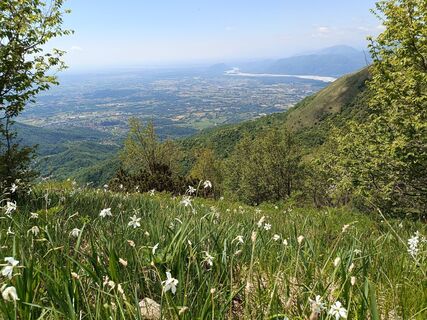 Foto von Raftandroll Hungary entlang der Tour