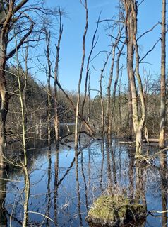 Fotografia z Matthias Zimmermann na trase