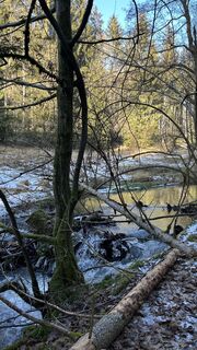 Photo de Matthias G74 le long du parcours