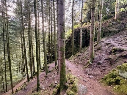 Foto von ChrisWarken entlang der Tour