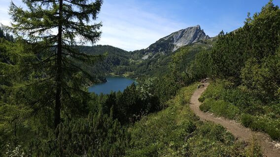 Fotografia z kriessda na trase