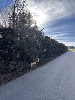 Foto von Cyrill Bischof entlang der Tour