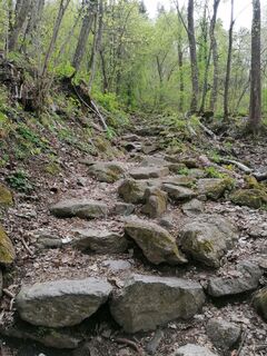Fotografia z Dagmar Hofer na trase