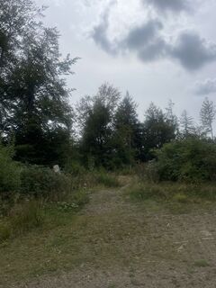 Photo de Sanca le long du parcours