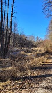 Fotó a Frank Kämmerer honlapról a túra során