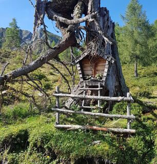 Materl vor der Erlhofalm