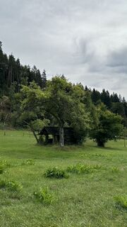 Fotografia z Norba na trase