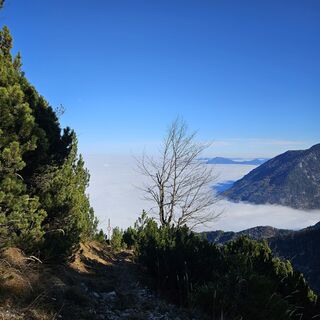 Fotografia z Alfred Quack na trase