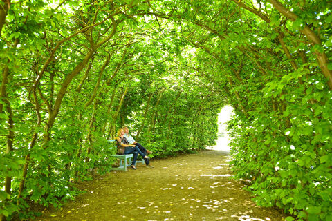 Paar im Park Kloster Haydau Morschen