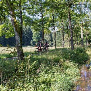Bad in der Natur - entlang Freiberger Mulda ( am Kamm)