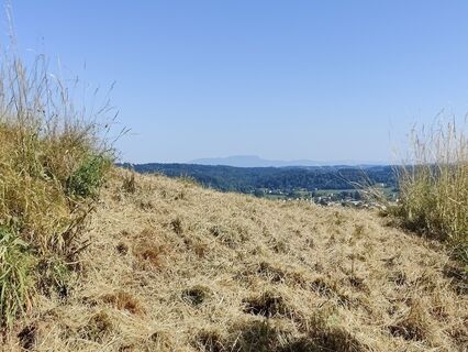 Fotografija s spletne strani Lena Eder na poti