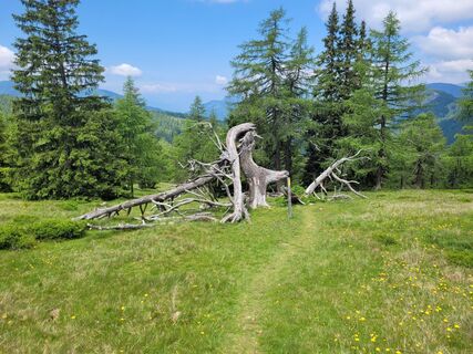 Foto von Dunja Huemer entlang der Tour