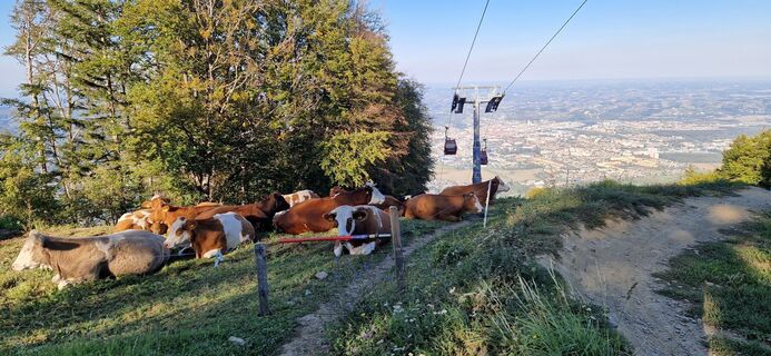 Photo de Štefan Sumper le long du parcours
