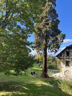 Foto von Sissi Maria Kaiser entlang der Tour