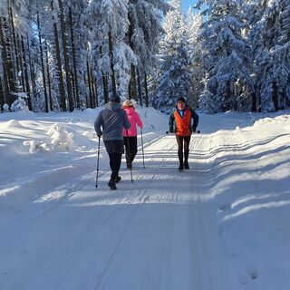 Winterwanderweg Langer Berg