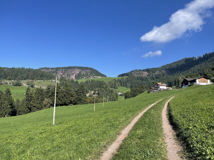 Fotografia z holgerwag na trase