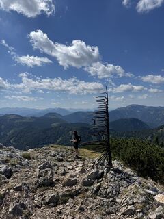 Fotografija s spletne strani Doron Nadav na poti