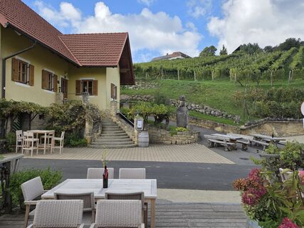 Photo from Zahrni78 along the tour