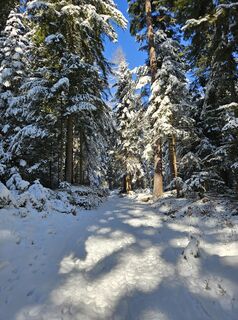 Foto von Franz Russ entlang der Tour