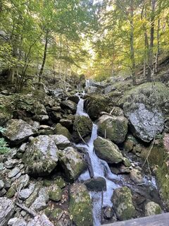 Photo de Gerald Zeleny le long du parcours