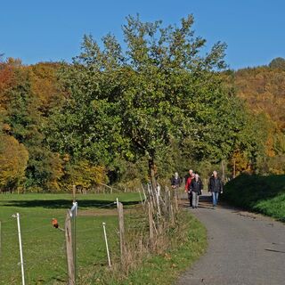 Lauterbachtal