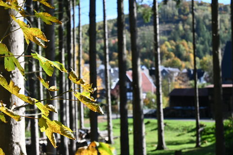 Ausblick auf Ostwig