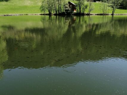 Zdjęcie z miro67he wzdłuż trasy