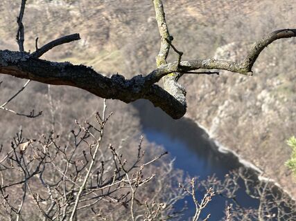 Foto von F. Shirazi-Joska entlang der Tour