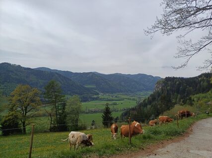 Foto von Christopher Schier entlang der Tour