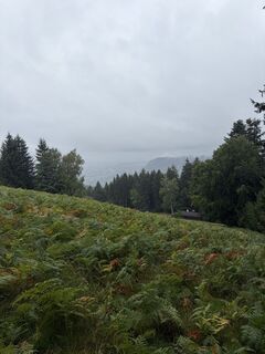 Photo de Paul Winkler le long du parcours