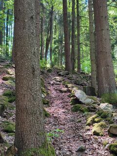 Steiler Anstieg über den Kaspar-Steigl zum Kloster