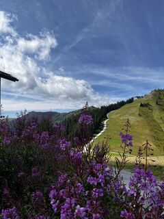 Photo from Tino Falk along the tour