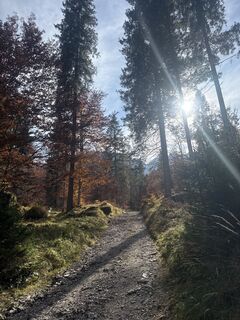 Foto von Alina Jimborean entlang der Tour