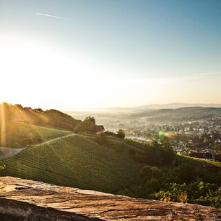Blick von der Burg Deutschlandsberg auf die Schilcherweingärten und Deutschlandsberg
