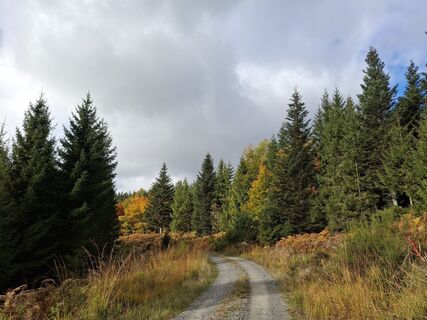 Fotografija s spletne strani Christian Krebs na poti