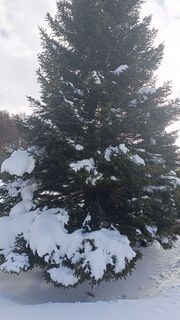 Fotografia z Valerio Masiero na trase