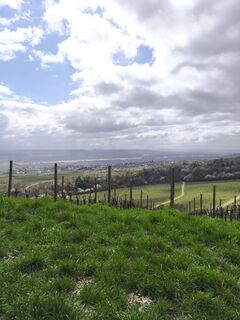 Fotografie z Peter Wachel na trase