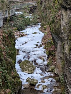 Würflach, Niederösterreich/Österreich
