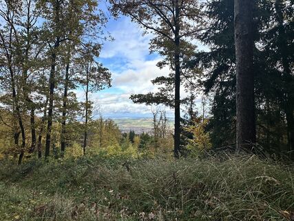 Zdjęcie z Sara B wzdłuż trasy